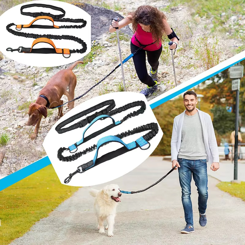 Hands Free Dog Leash Double Bu - Running Belt Waist ulasan dan harga