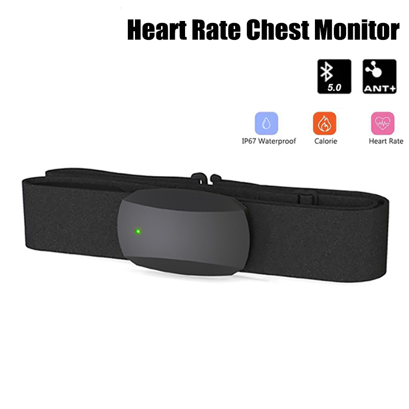 Heart Rate Chest Monitor Bluet - Heart Rate Strap Chest ulasan dan harga